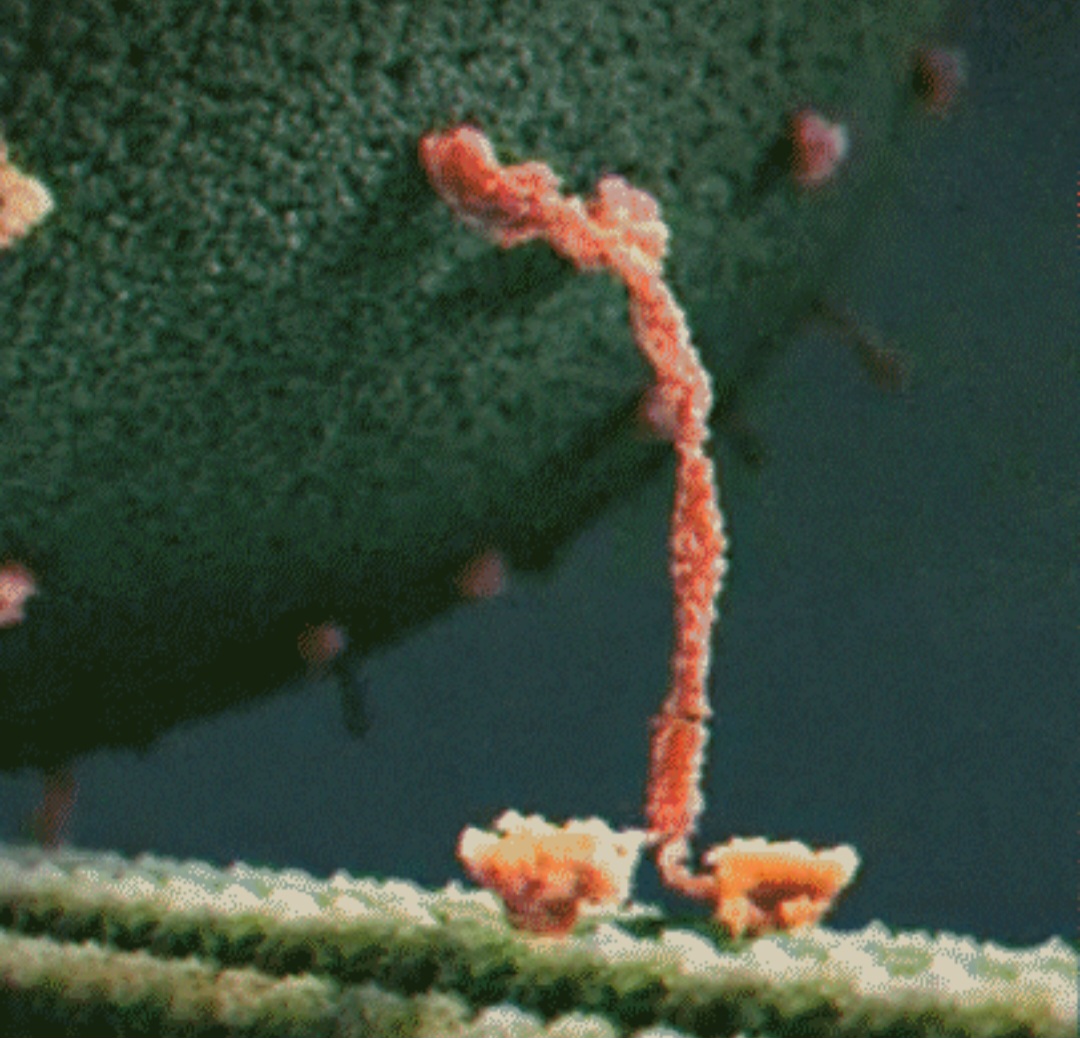 1000011768.jpg mb-file.php?path=2025%2F09%2F06%2FF11378_1000011768.jpg