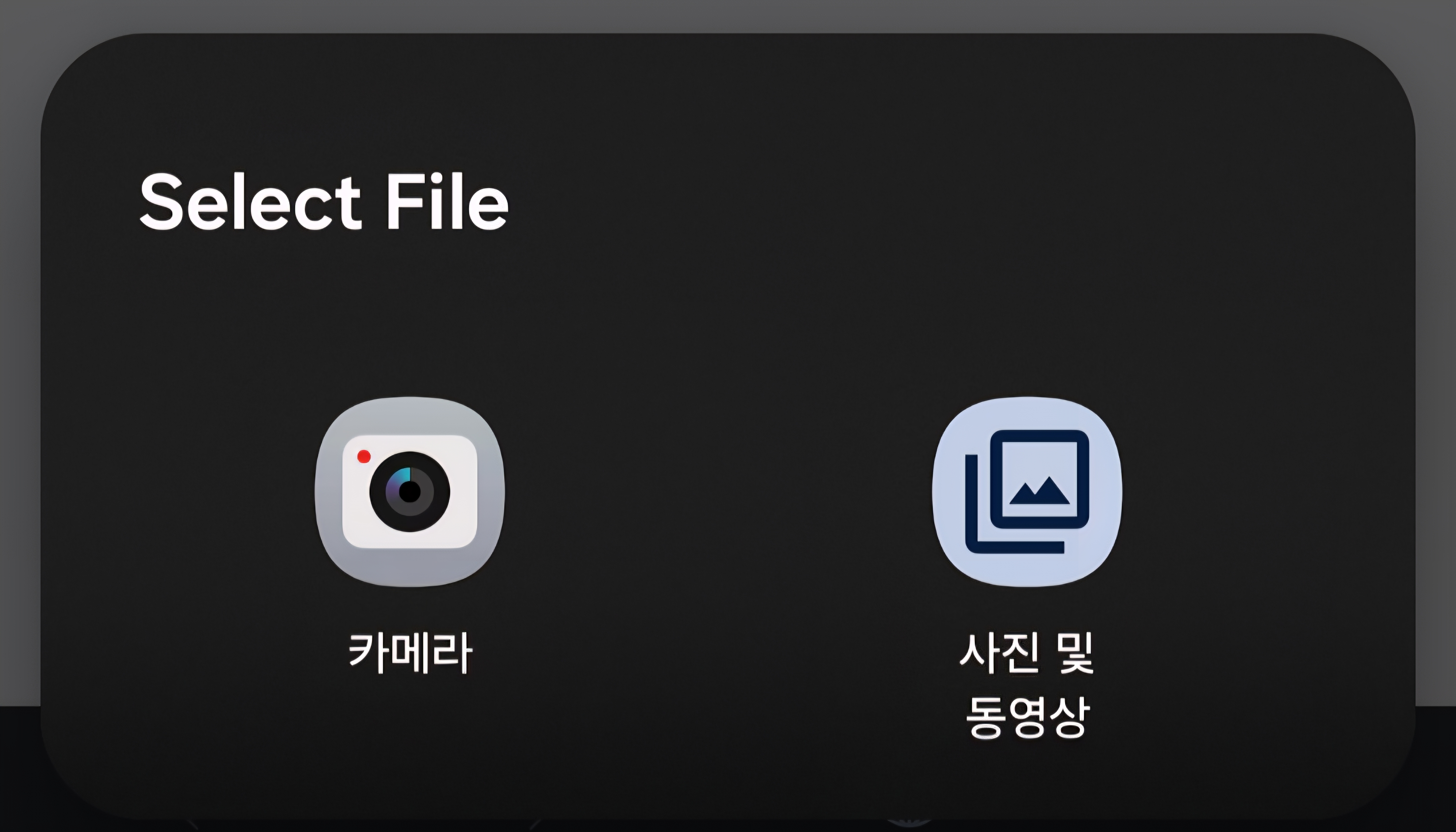 mb-file.php?path=2026%2F04%2F22%2FF16125_8010.jpg