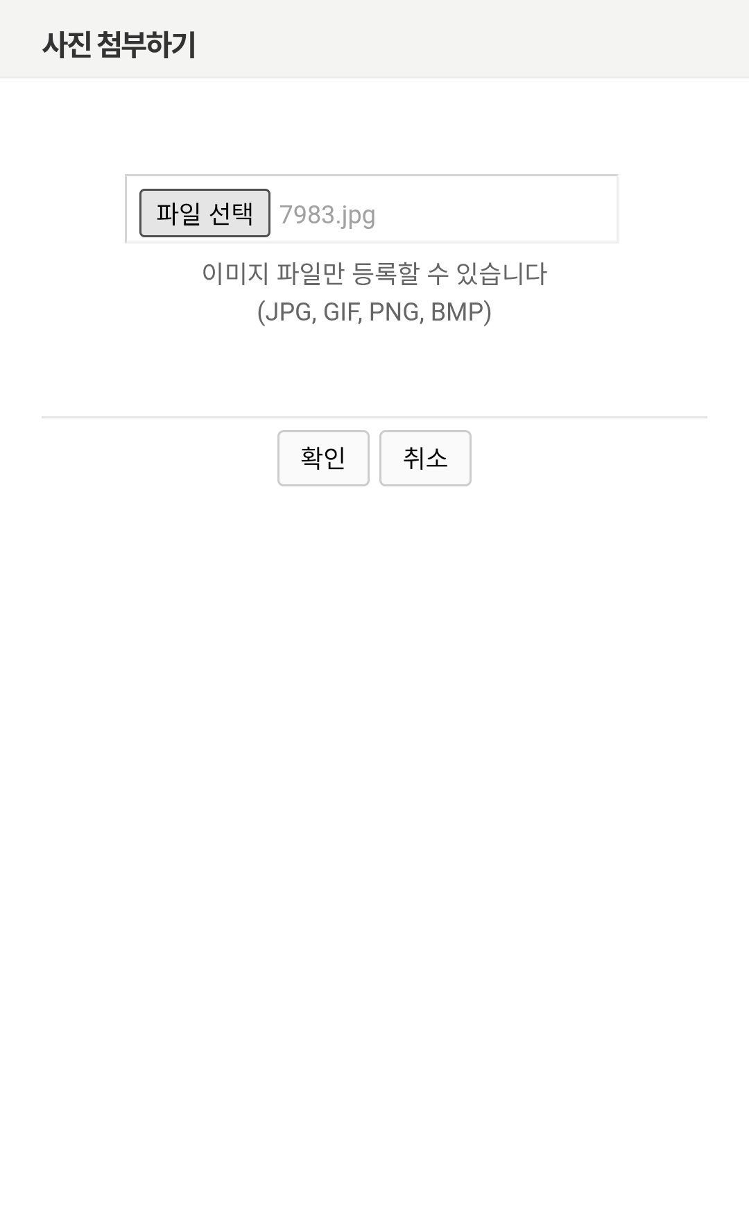 mb-file.php?path=2026%2F04%2F22%2FF16127_8012.jpg